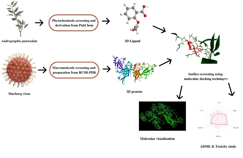 Graphical Abstract